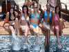 Pitbabes GIRLS 2006